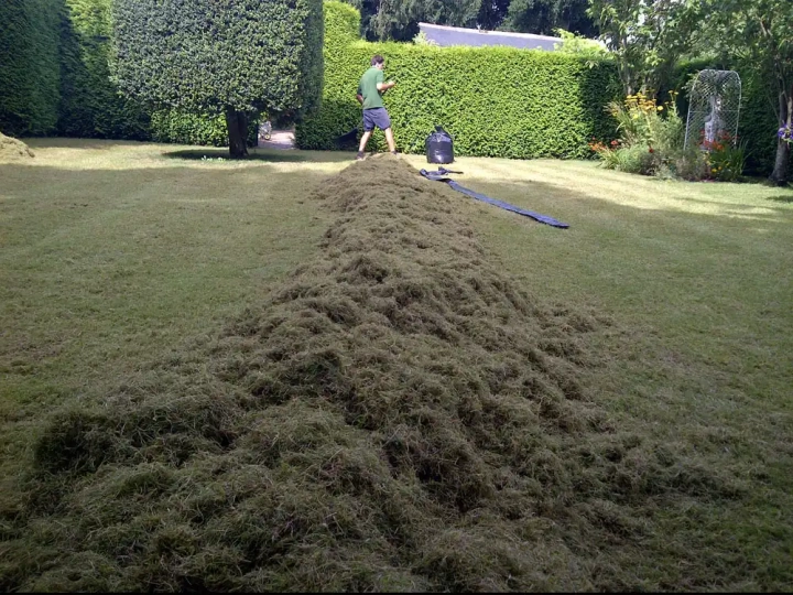 Thatch cleared from lawn